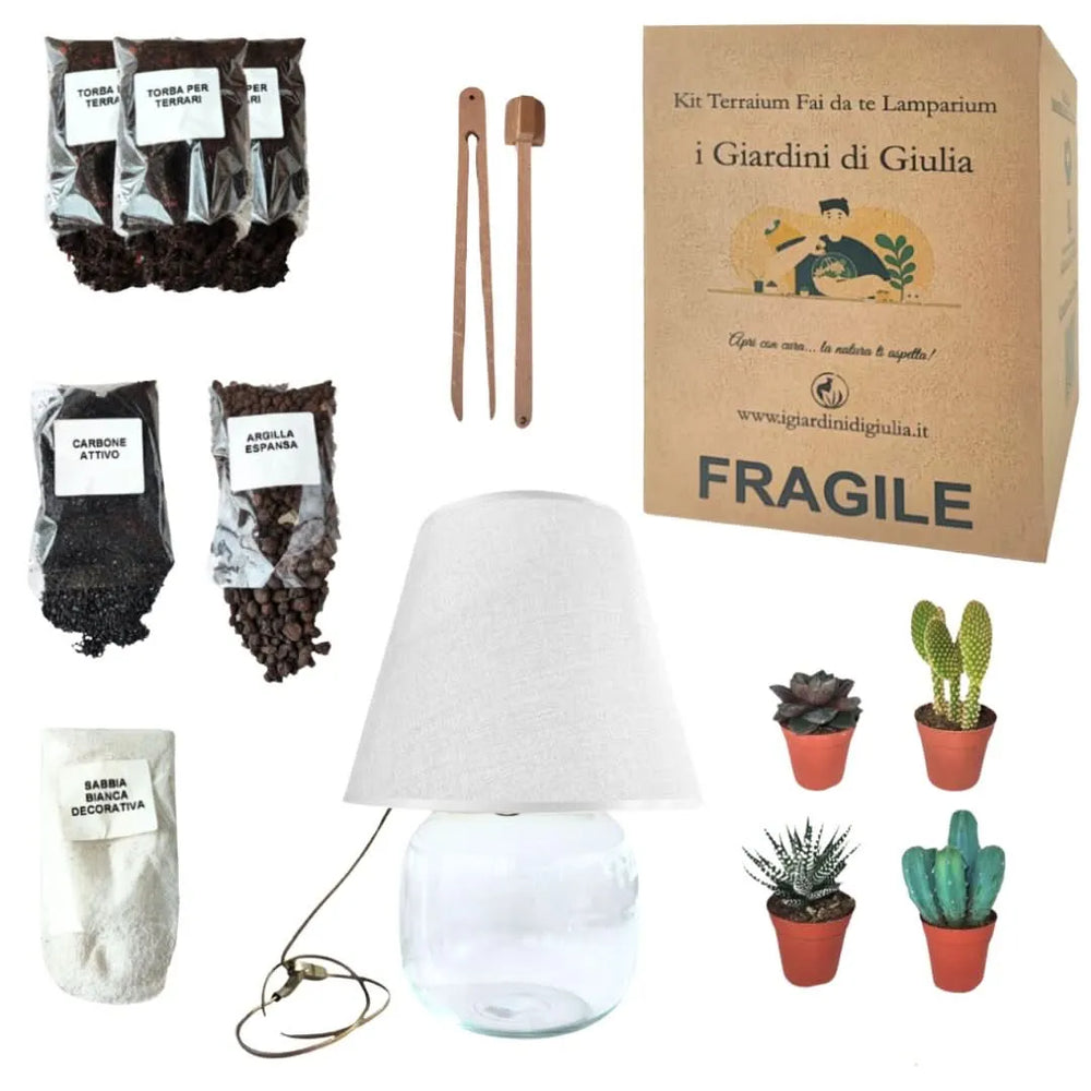 Kit Terrarium Lamparium Grande - contenuto con substrati, lampada e piante grasse