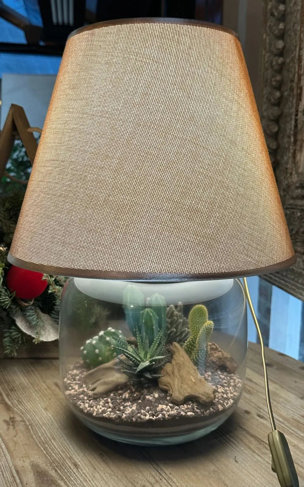 Terrarium Lamparium illuminato - piante grasse in primo piano