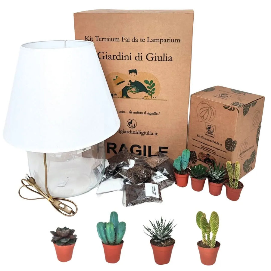 Terrarium Lamparium Grande con piante grasse - composizione completa e illuminata