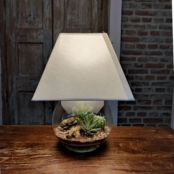 Terrarium Lamparium Medio finito con luce accesa, su tavolo in legno
