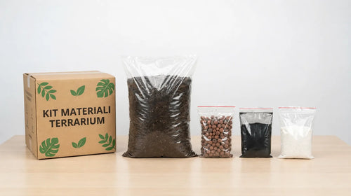 Kit Completo Materiali Terrarium - Tutto il Necessario per il Tuo Progetto