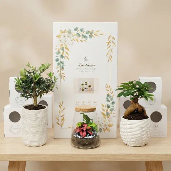 Kit bomboniere per eventi