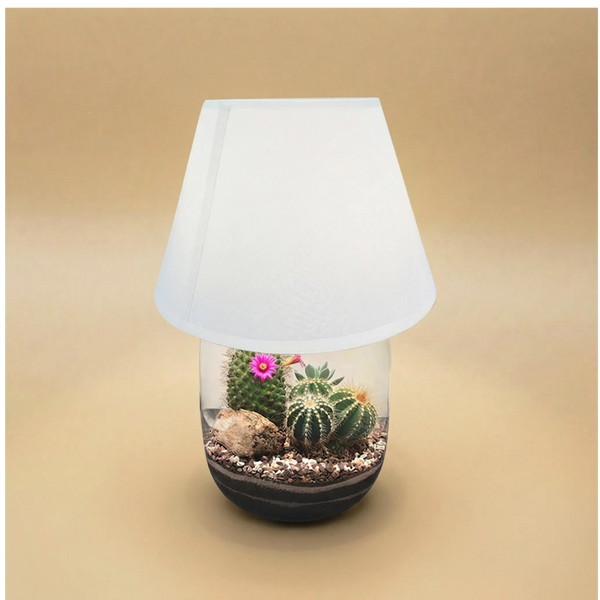 Terrarium lamparium Dune Lux Essential