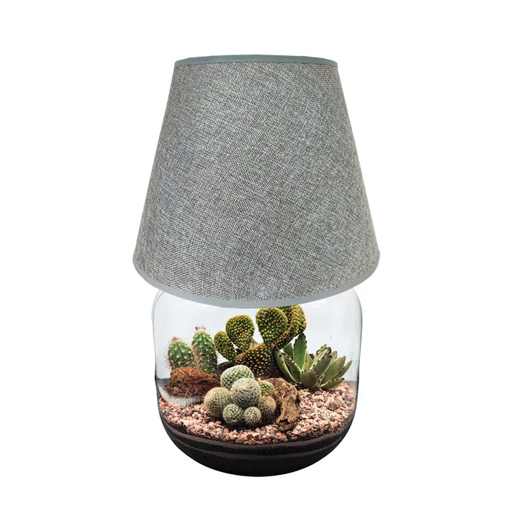 Terrarium Lamparium Martina Cactus - i Giardini di Giulia  