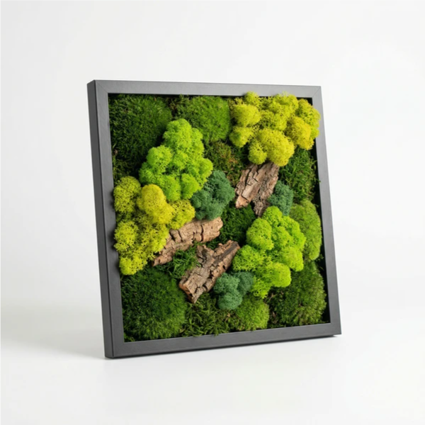Quadro muschio stabilizzato - vista frontale su sfondo neutro, dimensioni 30x30 cm