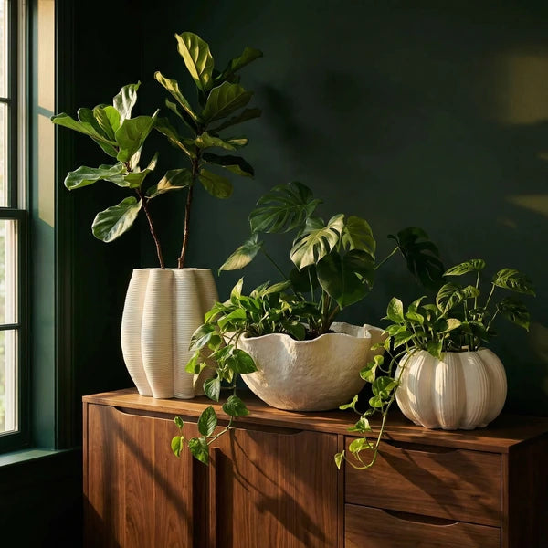 Ceramica artigianale, pensata per le piante.
