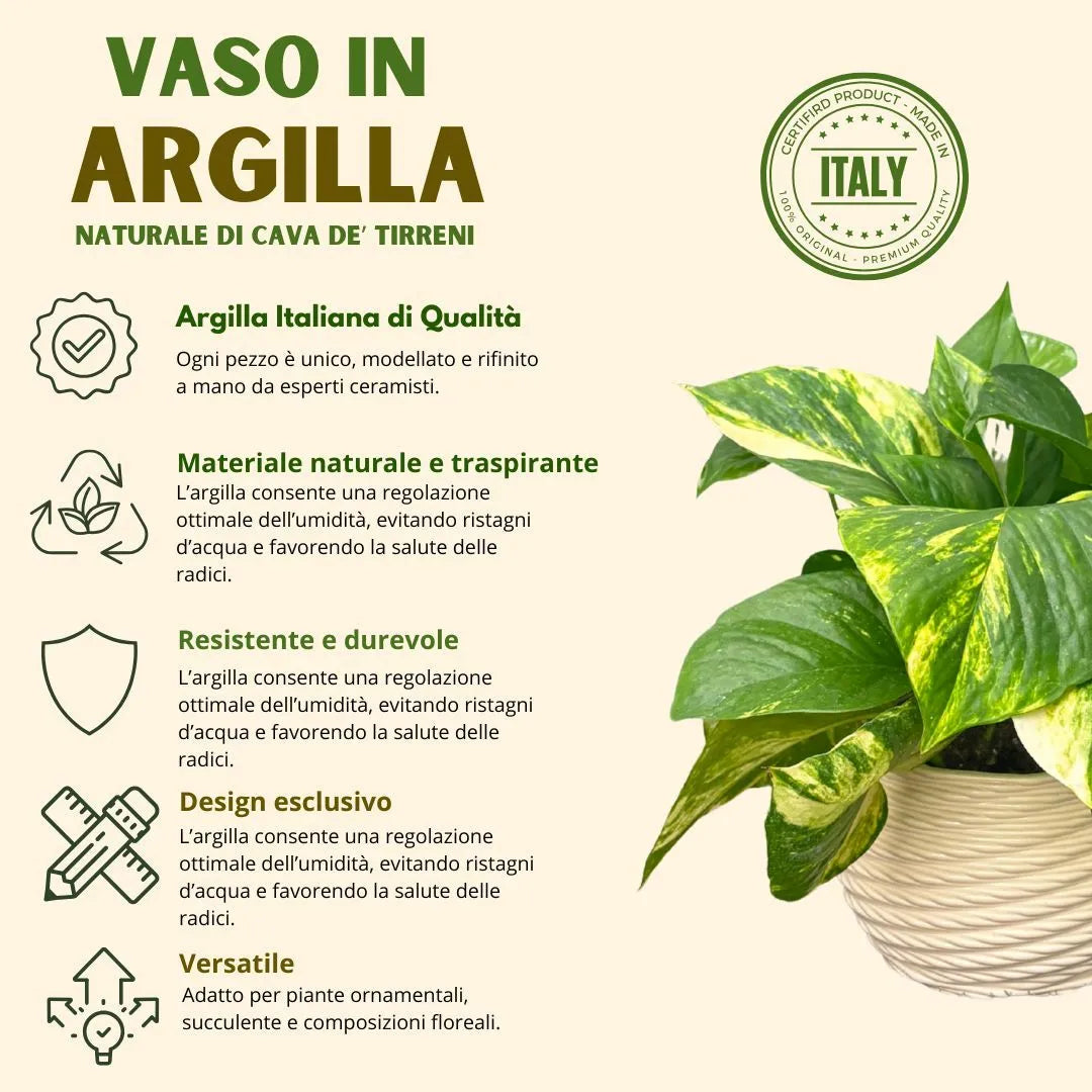 Vaso ceramica Carina - dettaglio del vaso bianco lucido con Pothos variegato e texture