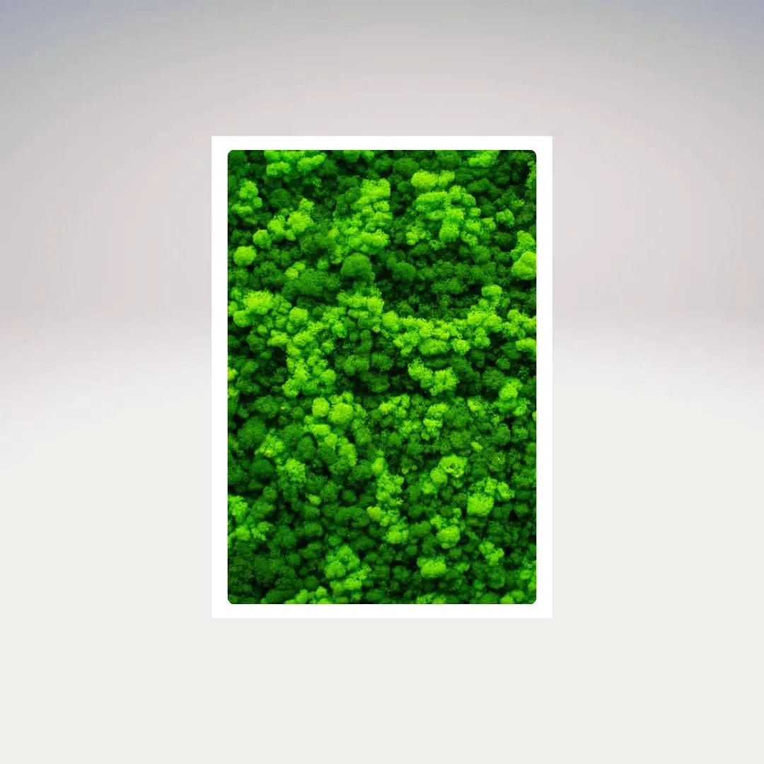 Quadro muschio stabilizzato rettangolare con cornice bianca e texture