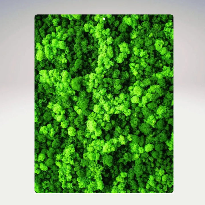 Quadro muschio stabilizzato rettangolare senza cornice, dettaglio texture