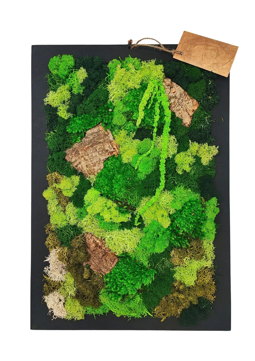 Quadro muschio stabilizzato 30x40 cm - vista frontale con muschio e licheni verdi su parete chiara