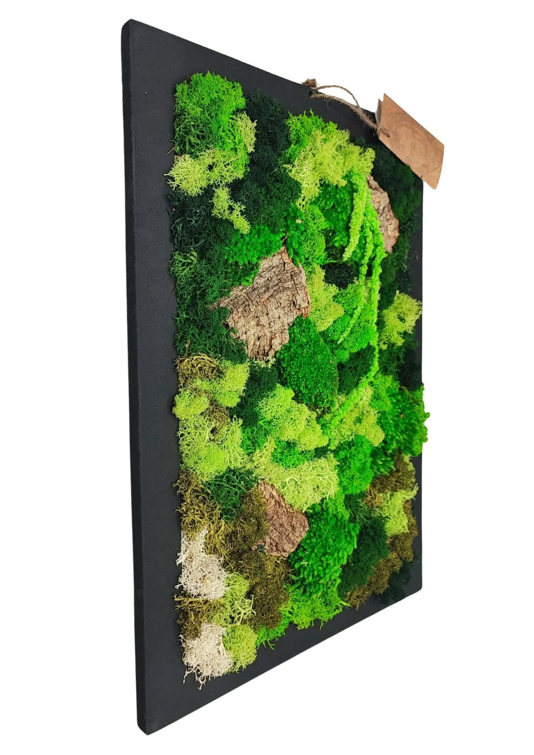 Quadro rettangolare di muschio - vista laterale con cornice in legno chiaro e texture dei licheni