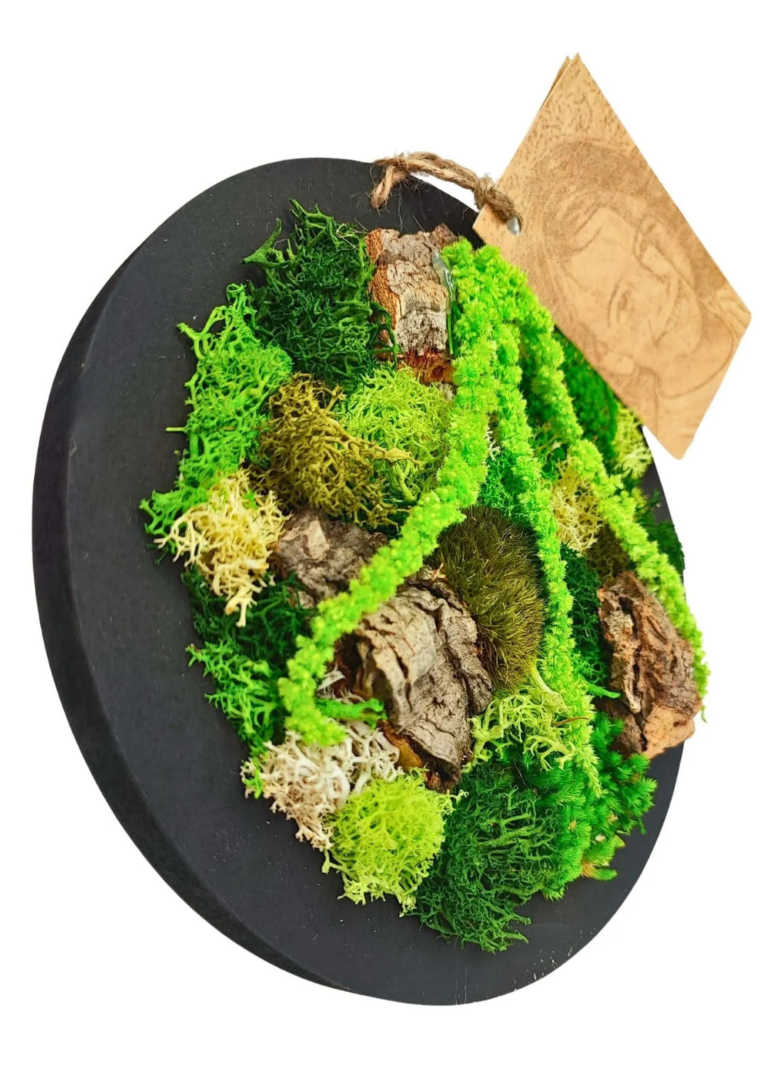 limmagine mostra un quadro tondo messo si lato che mostra tutti gli elementi 