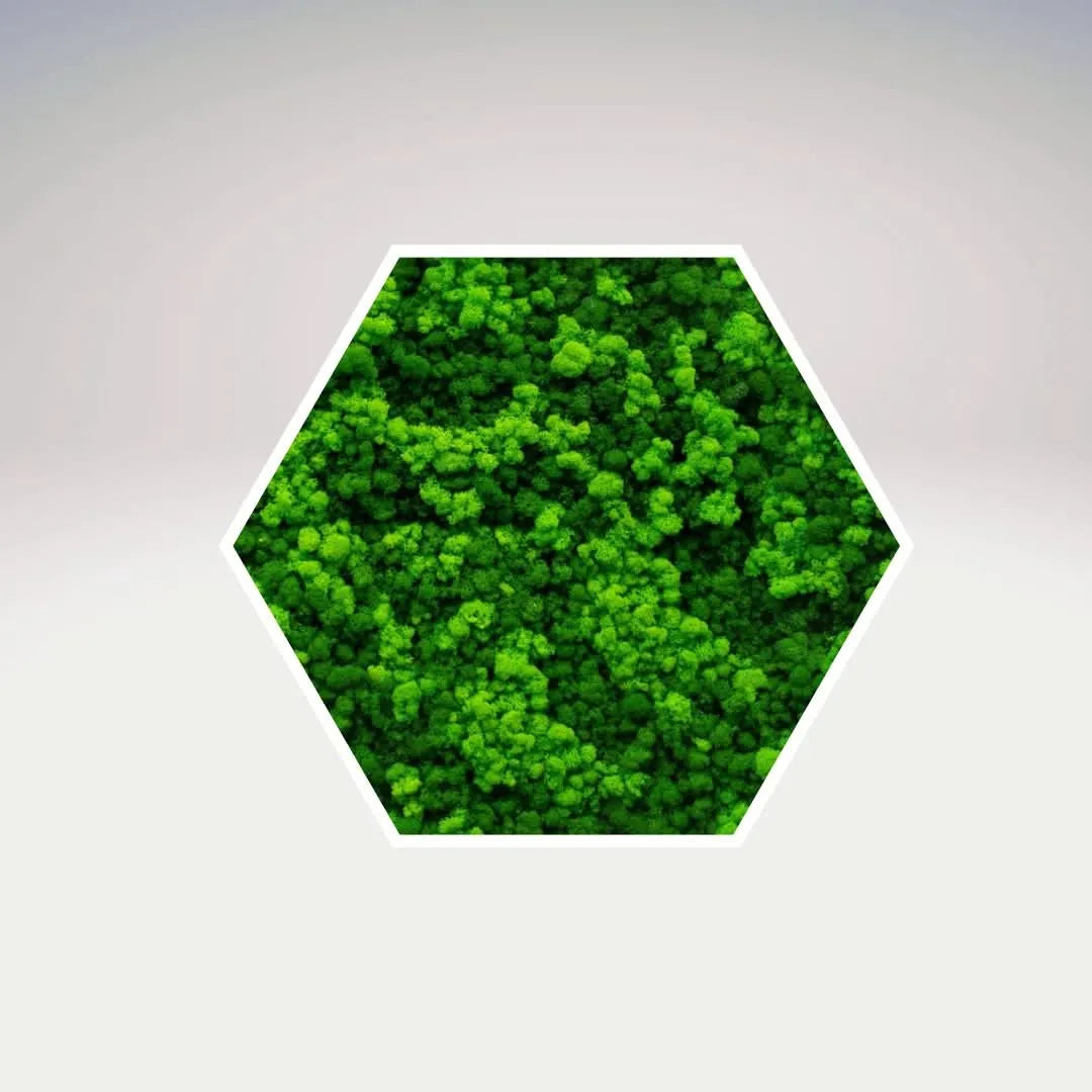 Quadro verde stabilizzato esagonale 40x40 cm cornice bianca, dettaglio