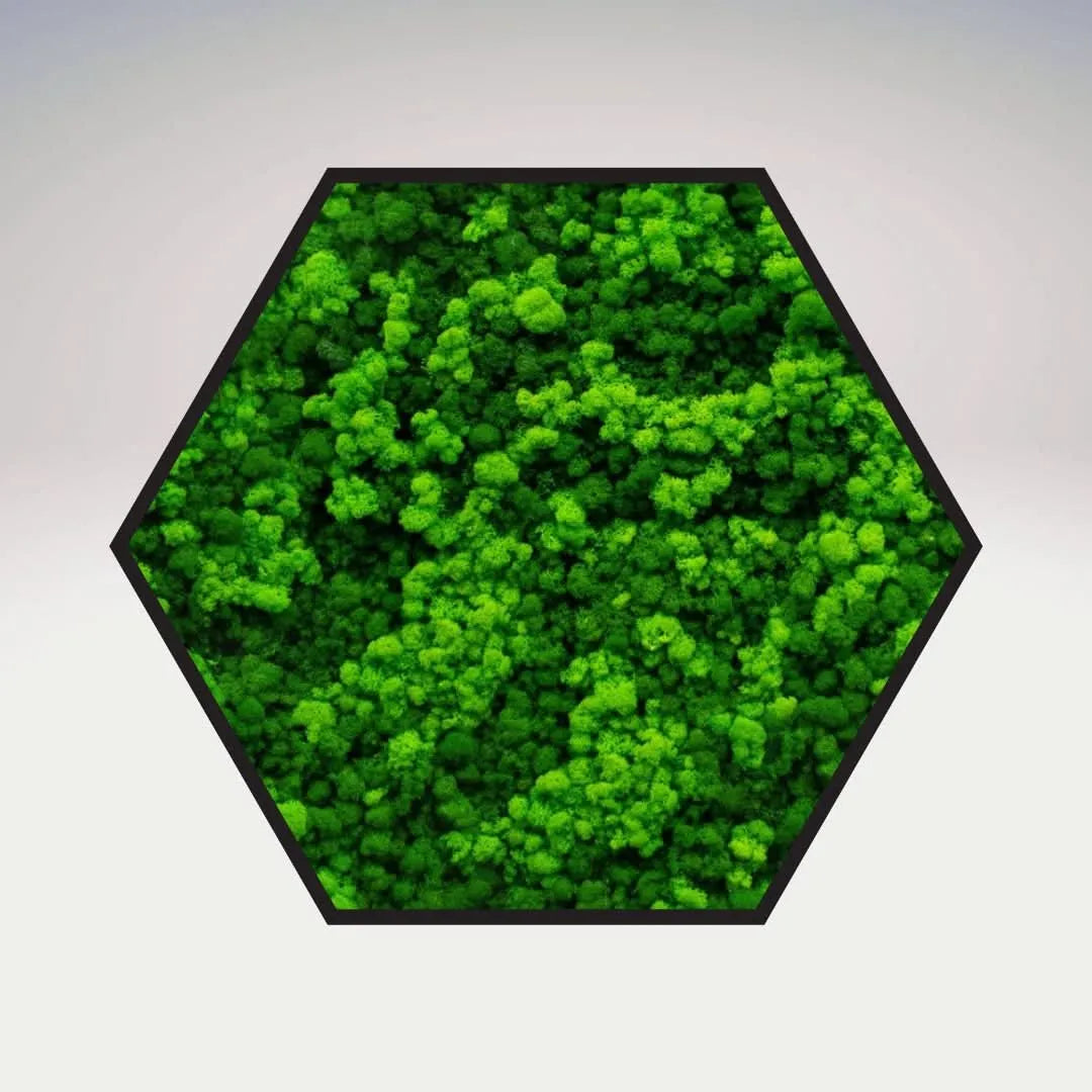 Quadro verde stabilizzato esagonale 60x60 cm cornice nera, dimensione media