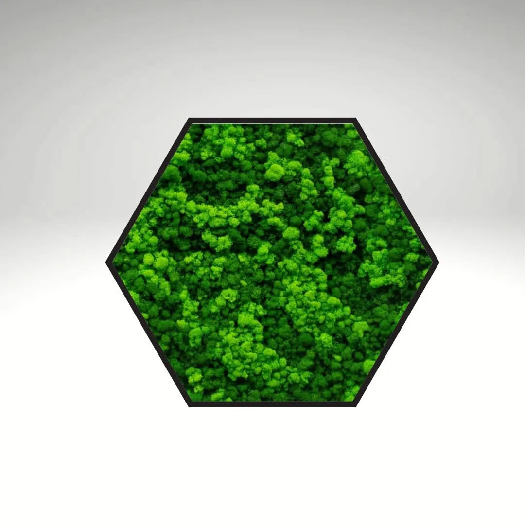 Quadro verde stabilizzato esagonale 40x40 cm cornice nera, dimensione piccola