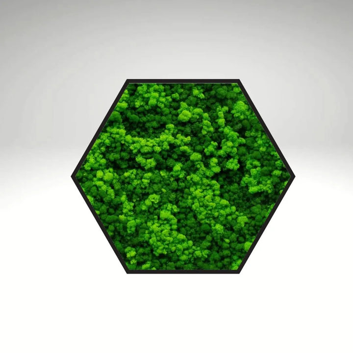 Quadro verde stabilizzato esagonale 40x40 cm cornice nera, dimensione piccola