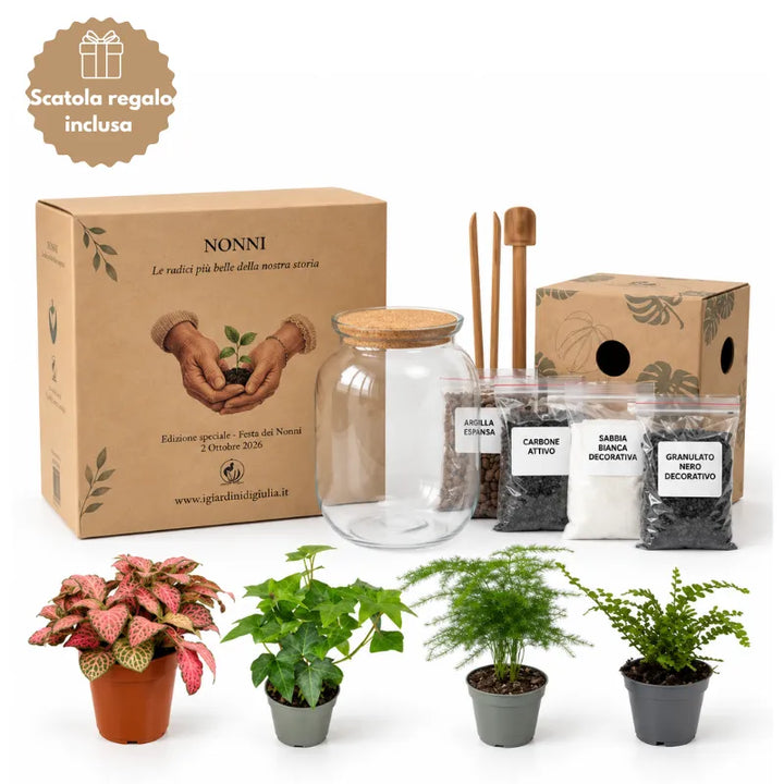 Kit Fes-ho Tu Mateix Terrari Complet - Crea el Teu Mini Jardí Elegant