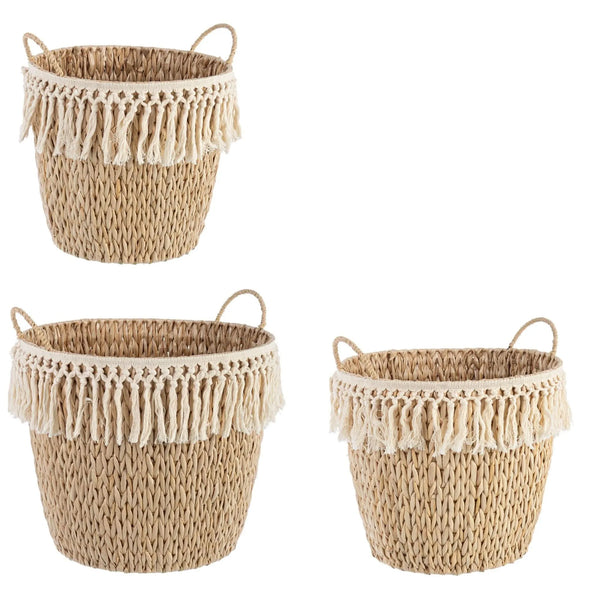 SET3 CESTA 2M ALMA SVAS