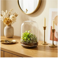 Terrarium campana decorativo console ingresso specchio ottone candele fiori secchi