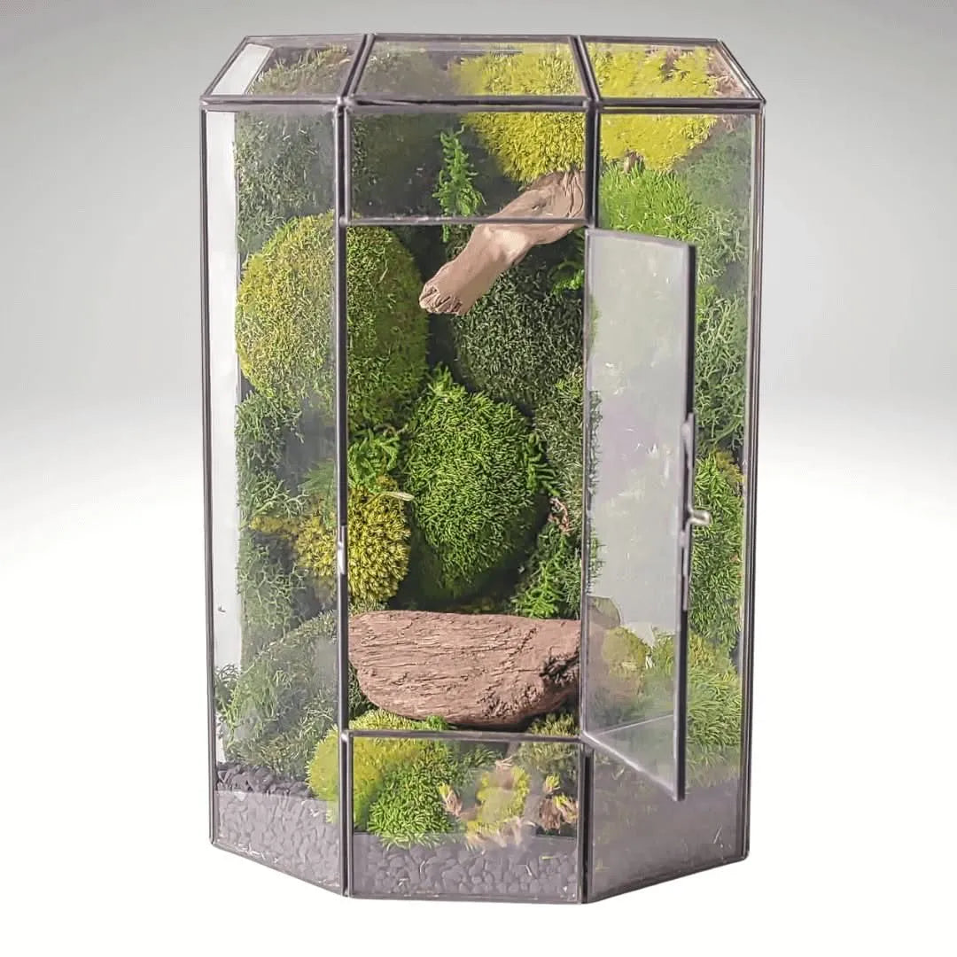 Terrarium Cascata Verde con Muschio Stabilizzato - i Giardini di Giulia