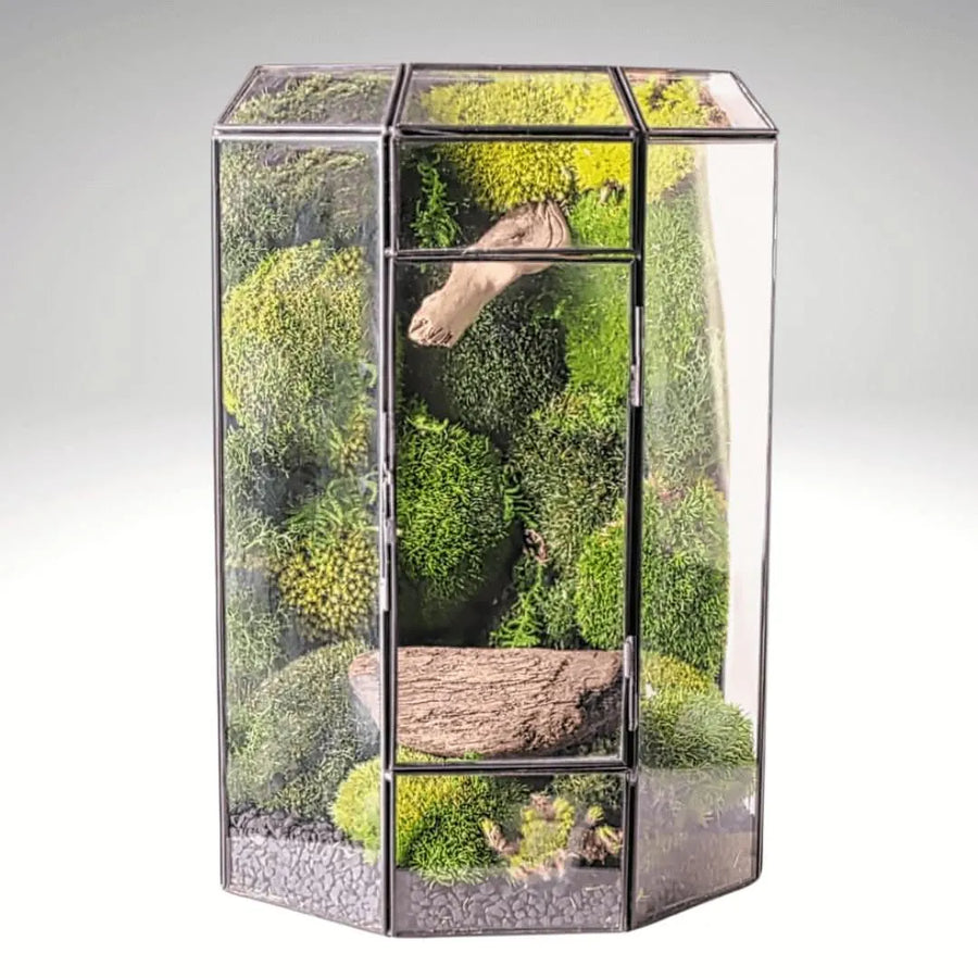 Terrarium Cascata Verde con Muschio Stabilizzato - i Giardini di Giulia