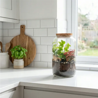Terrarium su piano cucina bianca vicino finestra, mini giardino per decorare ambienti luminosi