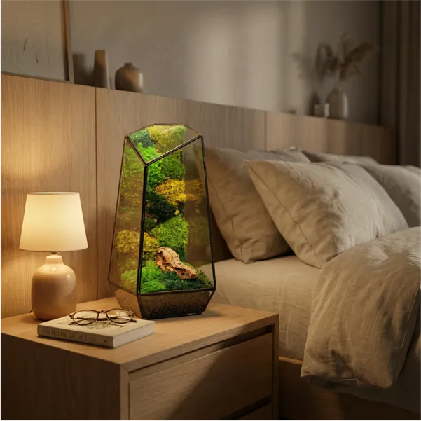 Terrarium Diamante comodino camera letto. Lampada libro occhiali letto neutro. Atmosfera rilassante serena naturale. Design moderno scandinavo.
