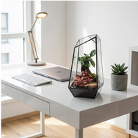 Terrarium Diamante - terrario su scrivania moderna in ufficio, decorazione elegante