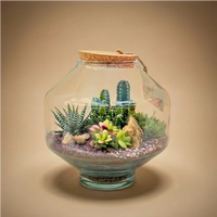 Terrarium Elia con piante grasse e cactus in vaso vetro con tappo sughero su sfondo beige caldo