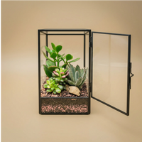 Terrarium géométrique d'Elisa avec plantes succulentes