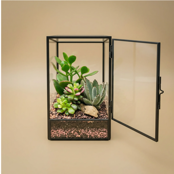 Terrarium geometrico Elisa con piante grasse