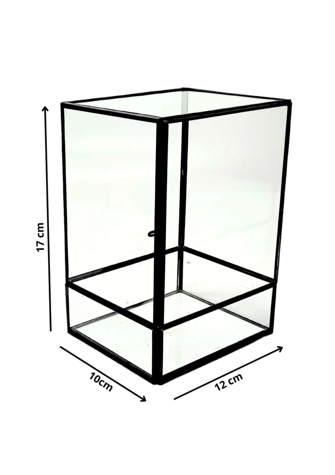 Terrarium geometrico Angolo Verde 2TR075 - i Giardini di Giulia