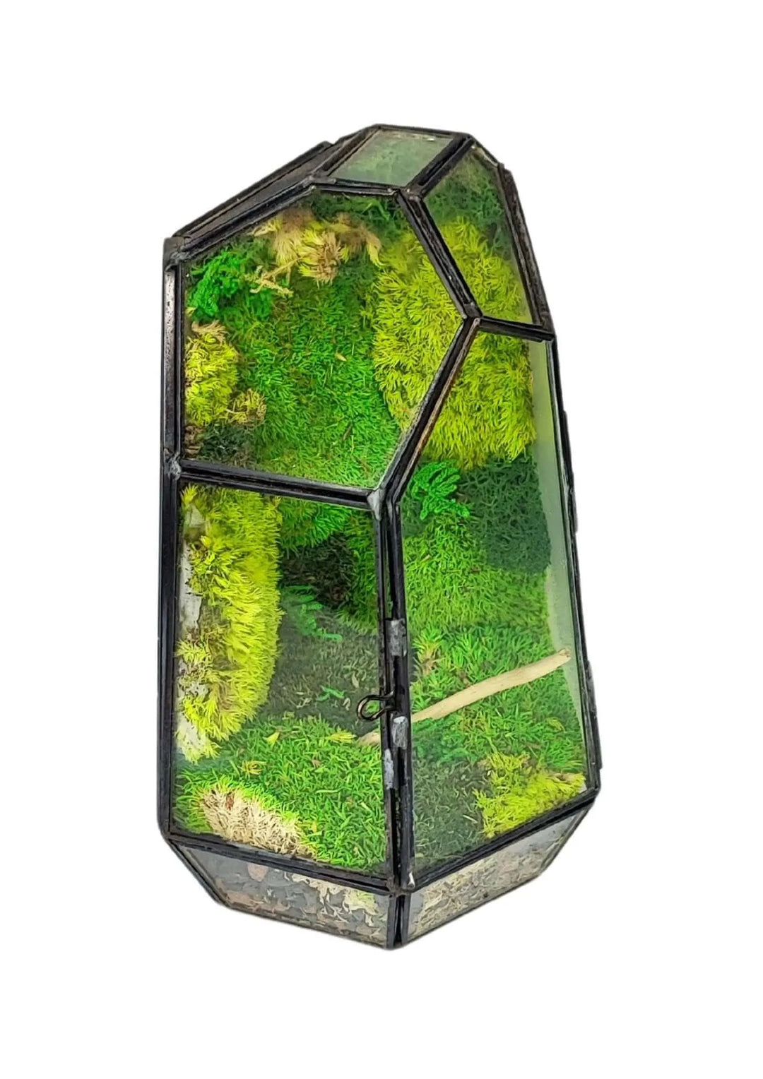 Terrarium geometrico Cristallo di Smeraldo 2TR072 - i Giardini di Giulia