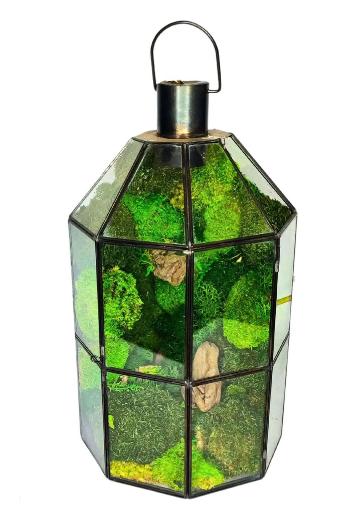 Terrarium geometrico Faro di Cristallo 2TR078 - i Giardini di Giulia