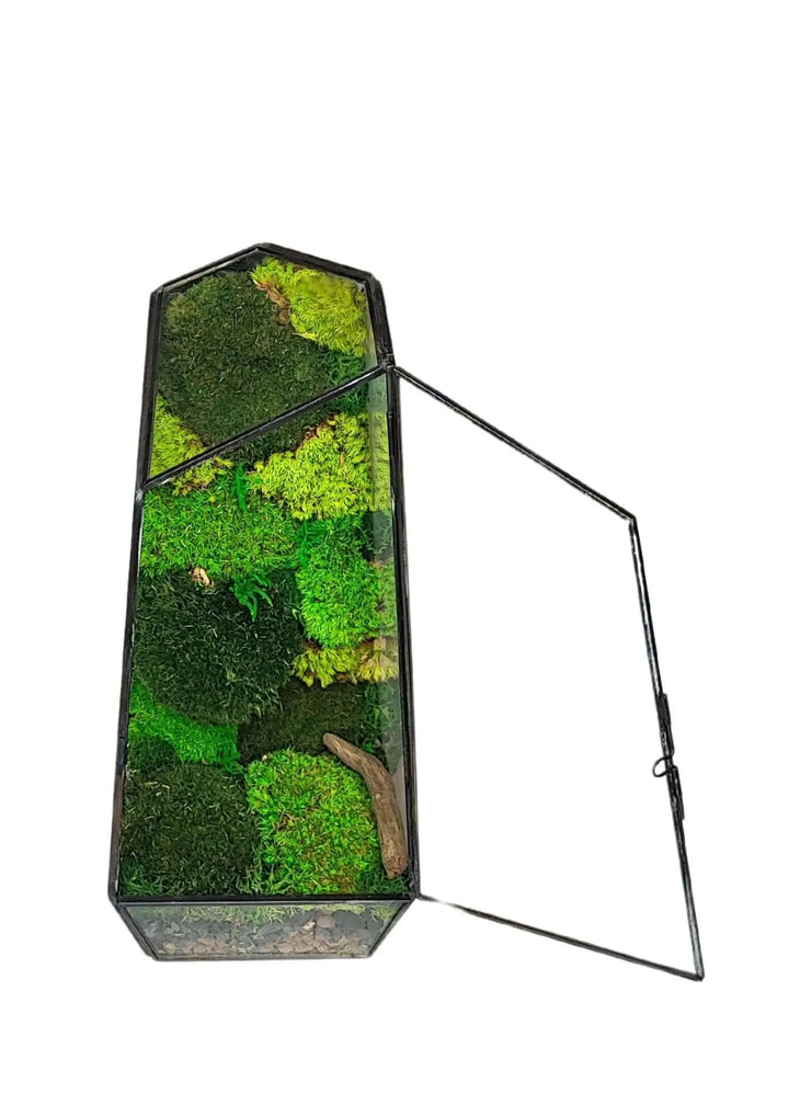 Terrarium geometrico Oasi di Luce 2TR068 - i Giardini di Giulia