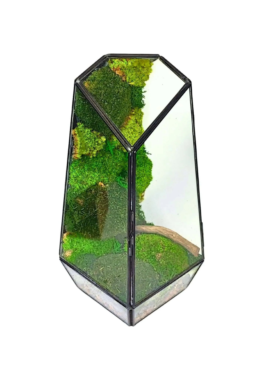 Terrarium geometrico Oasi di Luce 2TR068 - i Giardini di Giulia