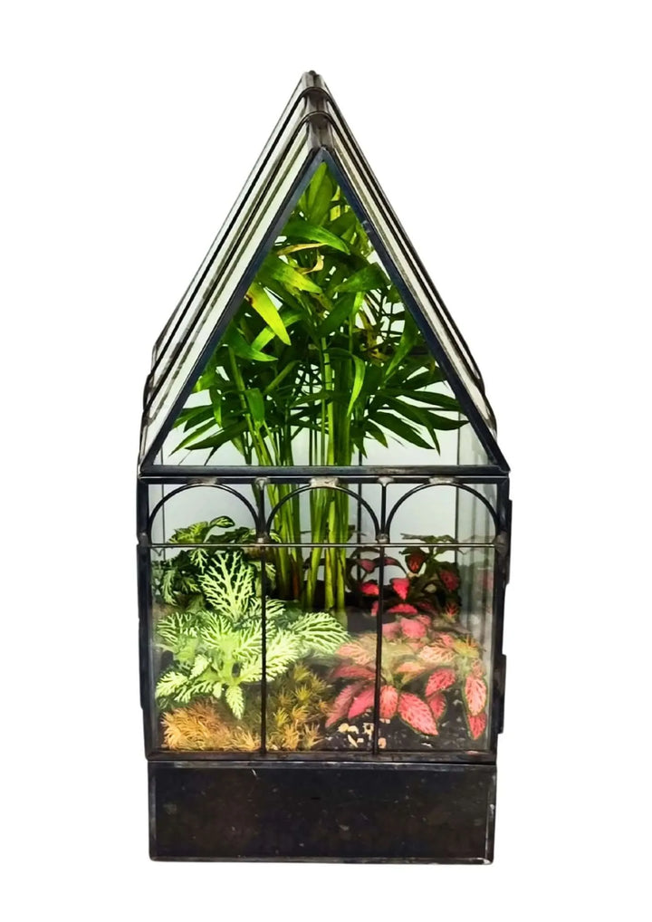 Terrarium geometrico Rifugio di Cristallo 2TR063 - i Giardini di Giulia