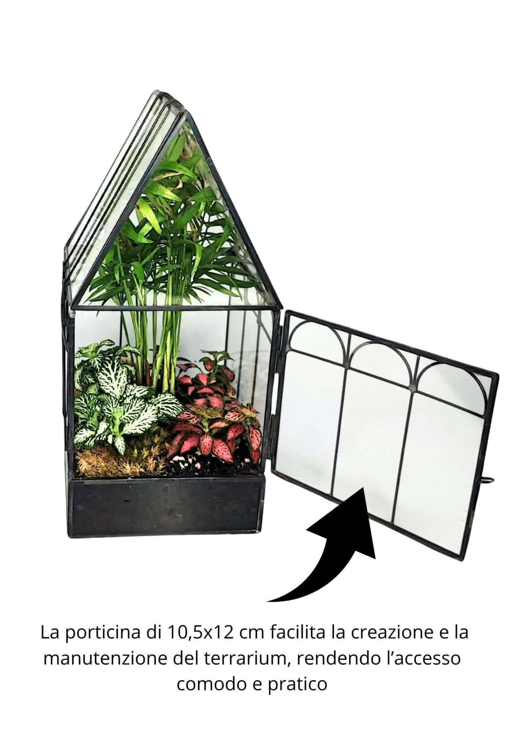 Terrarium geometrico Rifugio di Cristallo 2TR063 - i Giardini di Giulia