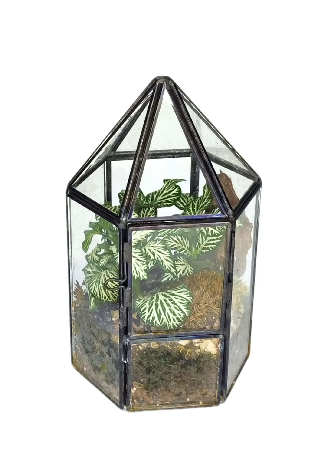 Terrarium geometrico Serra di Cristallo - i Giardini di Giulia