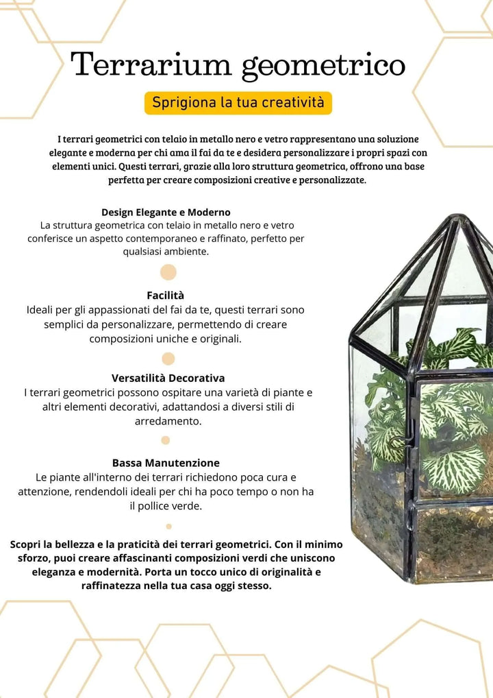 Terrarium geometrico Serra di Cristallo - i Giardini di Giulia