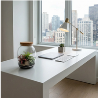 Terrarium su scrivania moderna minimalista con vista città, decorazione ufficio elegante
