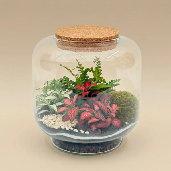 TERRARIUM HORTUS 17X17