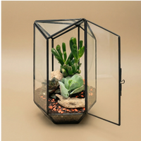 Terrarium géométrique d'iris avec plantes succulentes