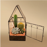 Mini serre romantique avec plantes succulentes 063G
