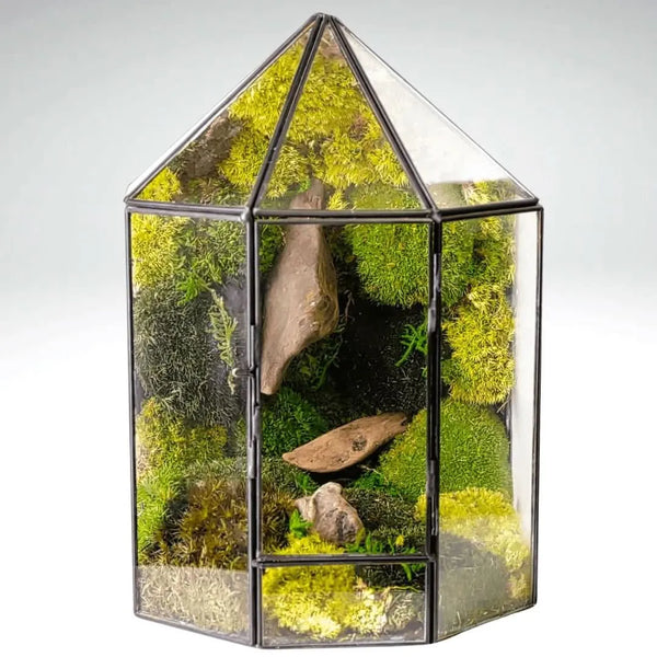 Terrarium Mini Voliera con Muschio Stabilizzato MS60