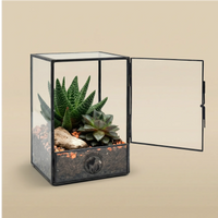 Terrarium Nora porta aperta mostra Aloe Haworthia succulente pietra decorativa. Vetro metallo nero design geometrico. Accesso facile cura piante.