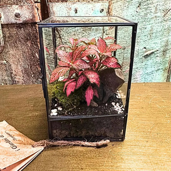 Terrarium Vetrina