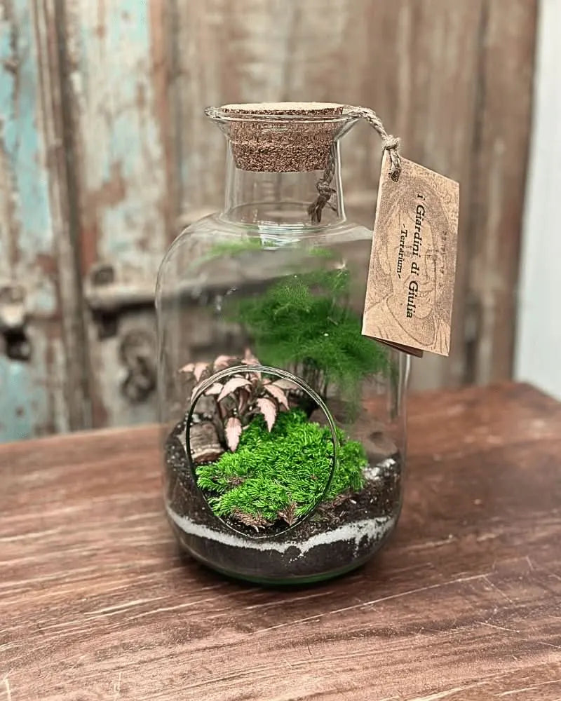 Terrarium Viva Oblò - i Giardini di Giulia