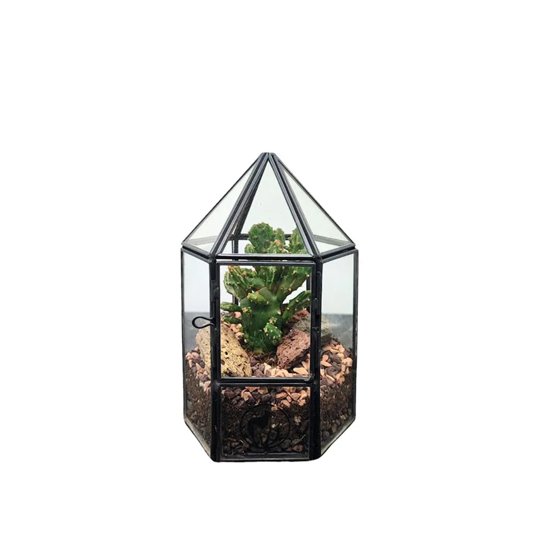 Terrarium piante grasse geometrico Kira - composizione con cactus e pietre decorative